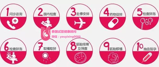 供卵做试管大概需要花多少钱_试管婴儿：供卵大概需要花多少钱？