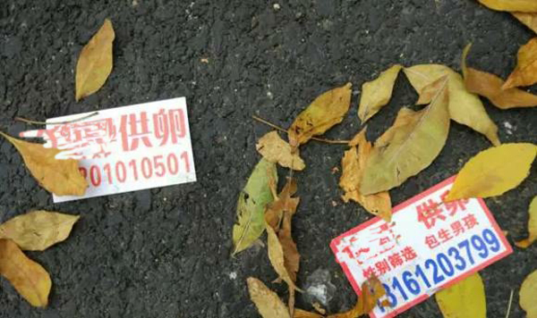 供卵试管被骗【供卵试管被骗：背后的真相】