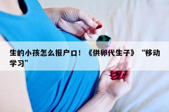 供卵生下的孩子能入户吗_供卵生下的孩子是否能够入户?