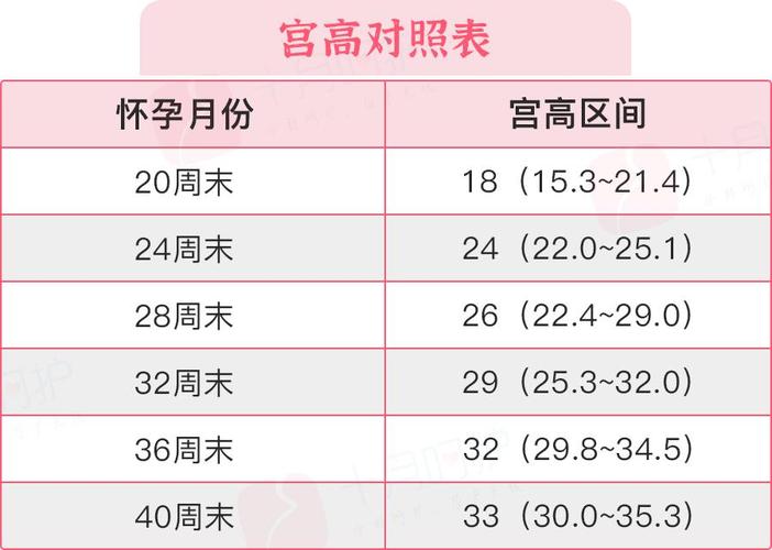 供卵受孕大概需要多少钱呢_供卵受孕需要多少钱呢?