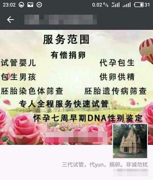 供卵试管代怀正规机构(供卵试管代怀正规机构:专业服务,安心选择)