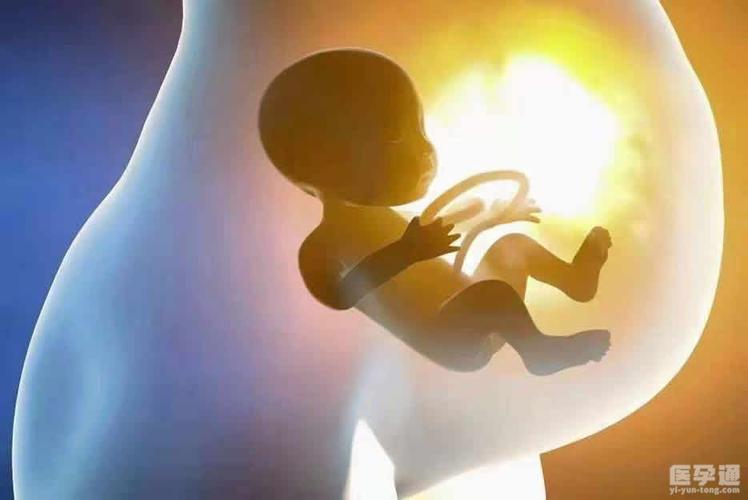 供卵生殖中心【供卵生殖中心:助您实现生育梦想】