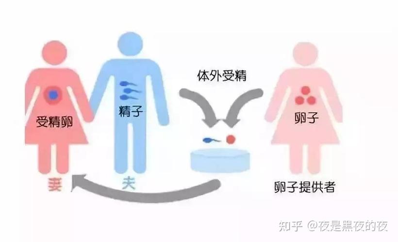 供卵生子是自己的孩子吗【供卵生子后，孩子是自己的吗？】