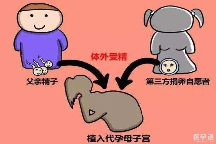 供卵的孩子跟母体有血缘关系吗【供卵孩子与母体是否有血缘关系?】